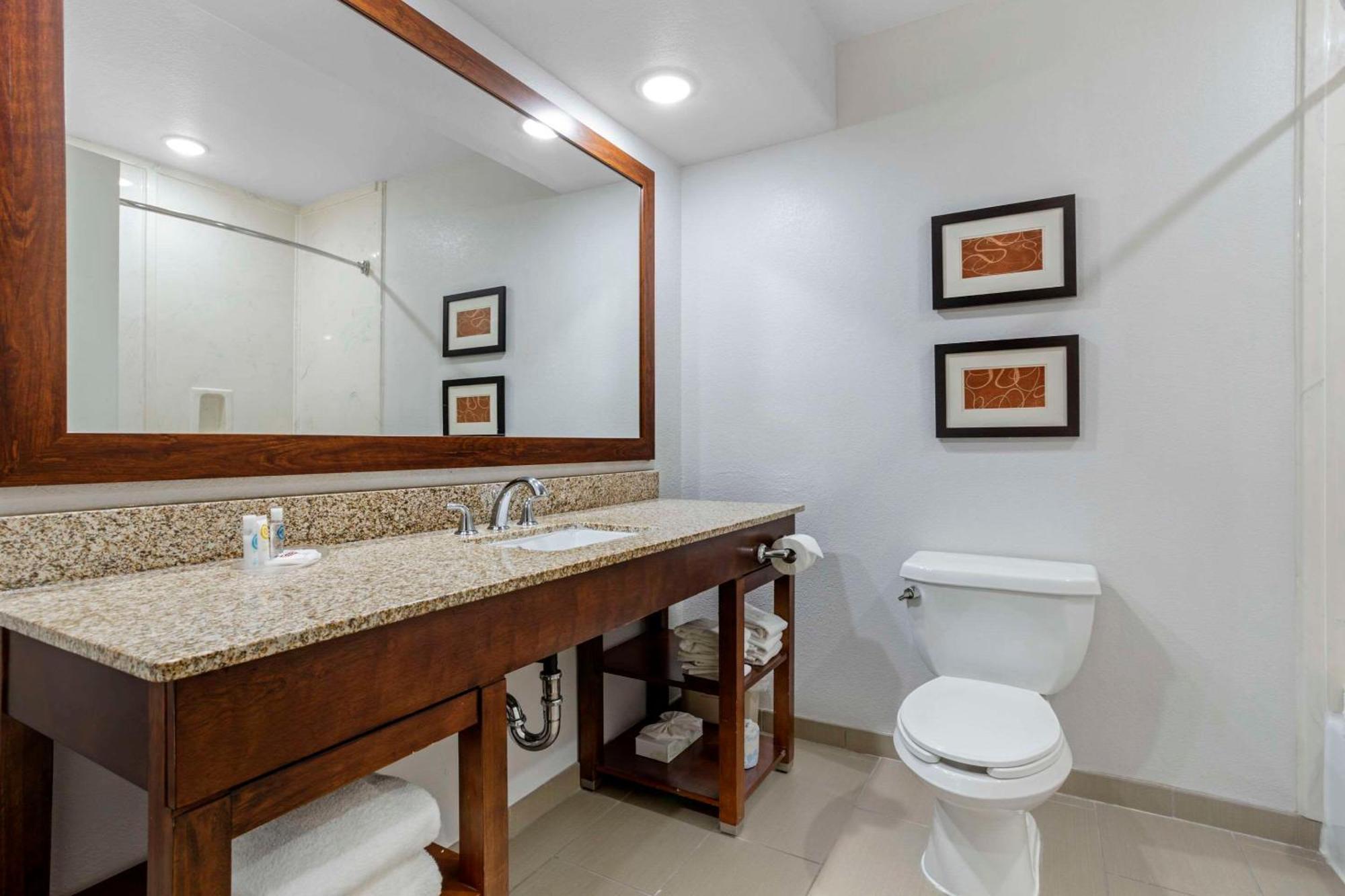 Comfort Suites Houston Nw - Vintage Park Екстер'єр фото
